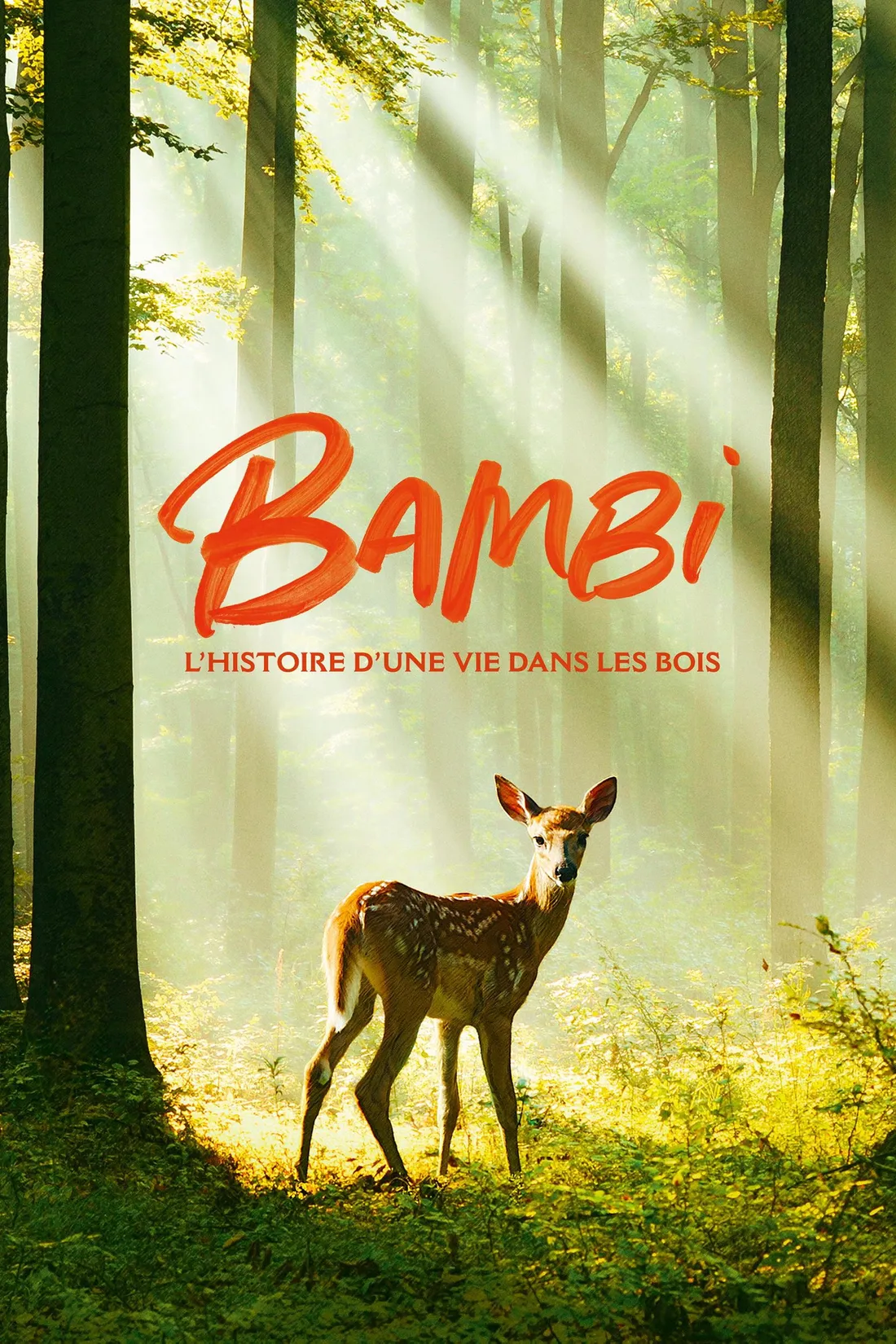 Bambi, l'histoire d'une vie dans les bois (2024)